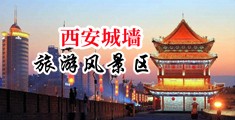 黑人考比片中国陕西-西安城墙旅游风景区