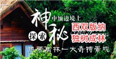 草啊操视频